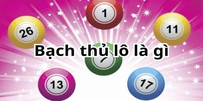Bạch Thủ Lô Là Gì? Giải Thích Chi Tiết Từ A Đến Z